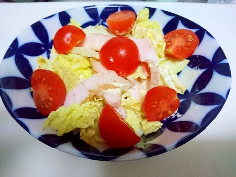 白菜とサラダチキンのサラダ